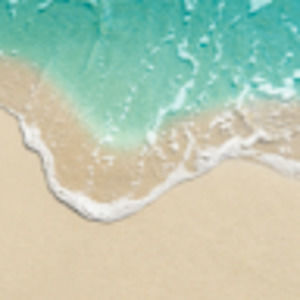 Meet your Posher, Avery